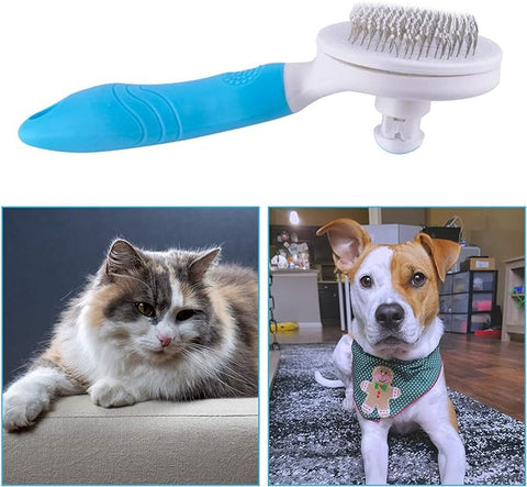 Pets Cleaning Brush